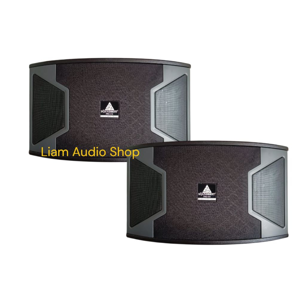 SPEAKER PASIF 10 INCH KARAOKE SOUNDBEST