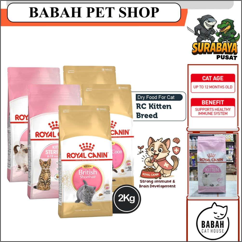 2kg ROYAL CANIN KITTEN BREED cat food persian british mainecoon sterilised makanan anak kucing rc un