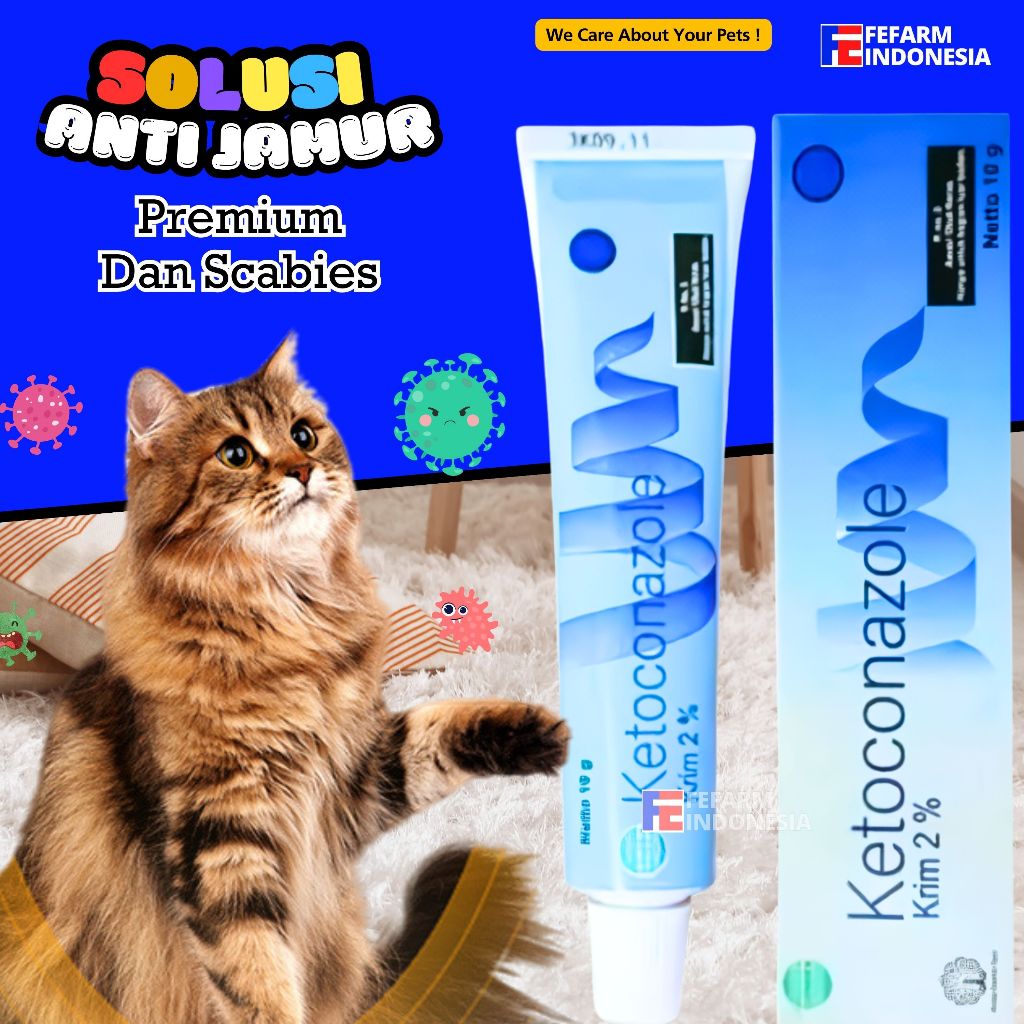 Obat Salep Jamur Kucing Ampuh Salep Luka Jamur Salep Scabies Kucing Ketoconazole FEFARM