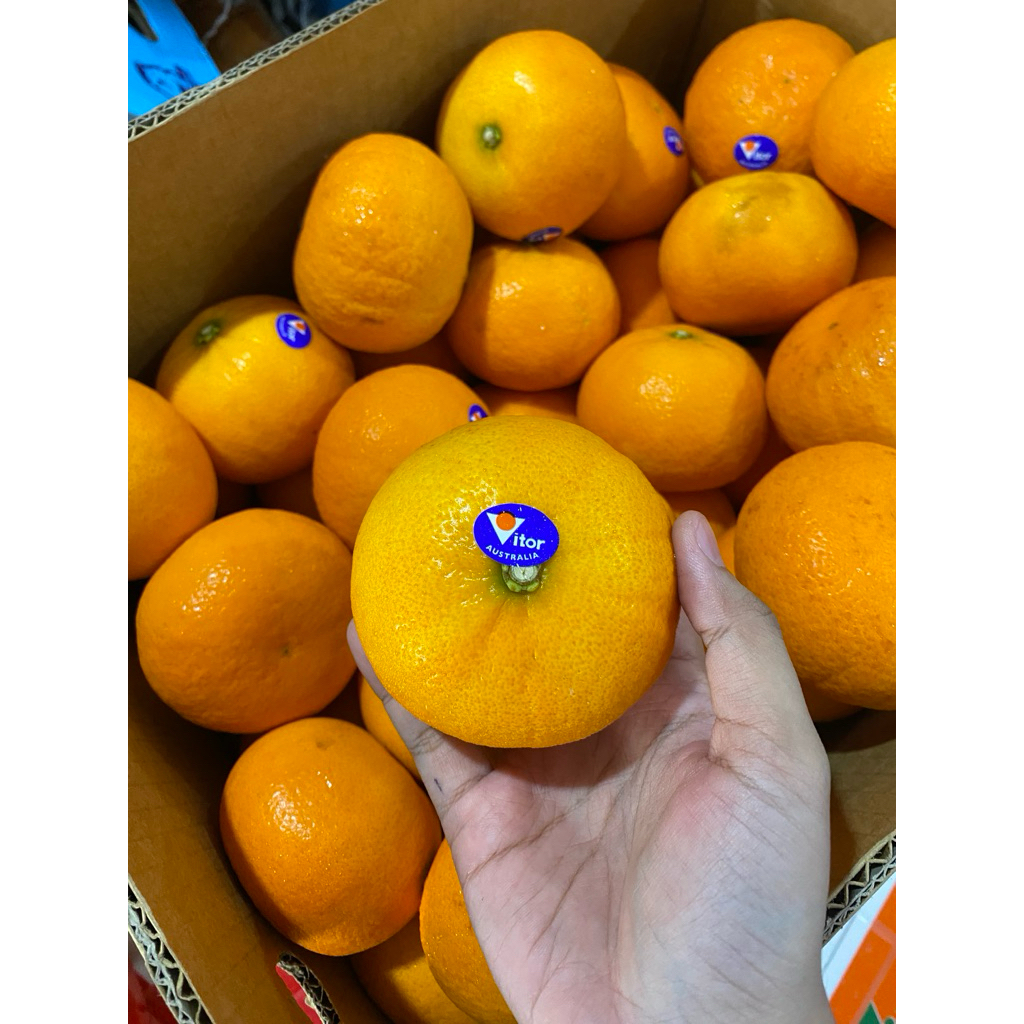 JERUK KUPAS MURCOT MANDARIN