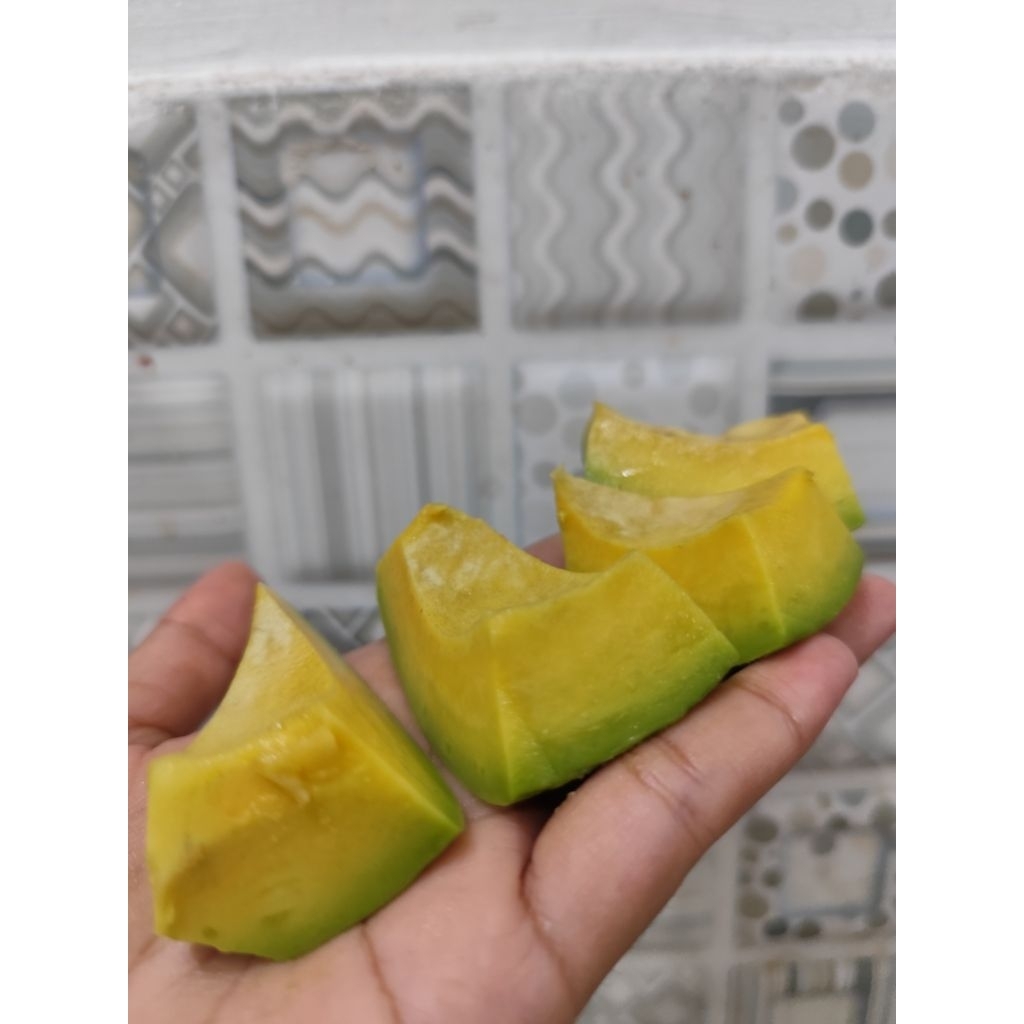 ALPUKAT MENTEGA LOKAL MATANG / ALPUKAT SIDOARJO / ALPUKAT GARANSI MATANG