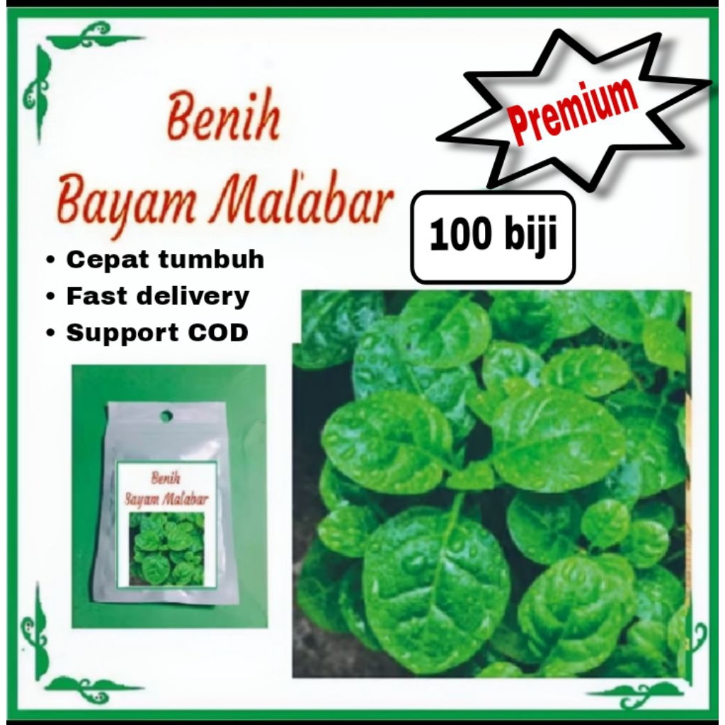 100 BENIH BIBIT BAYAM MALABAR SUPER