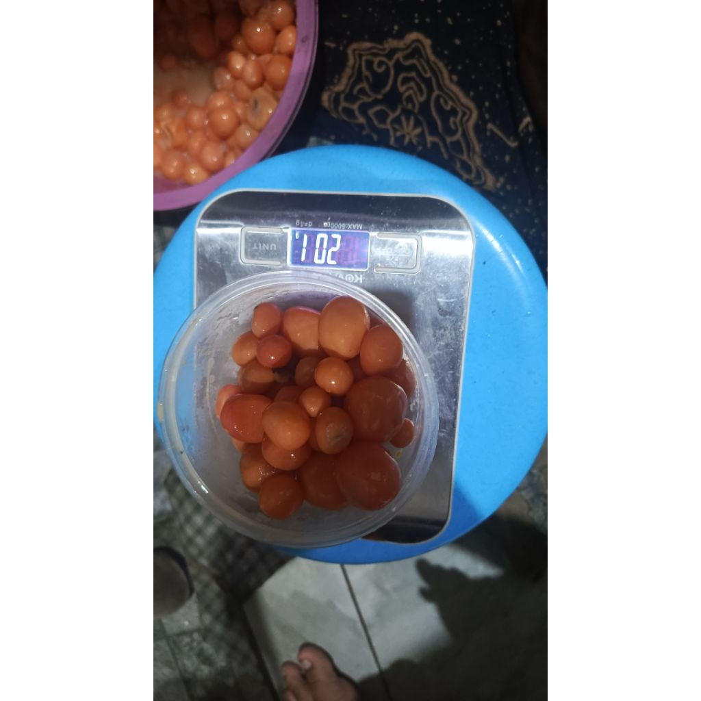 telur muda(uritan) ayam