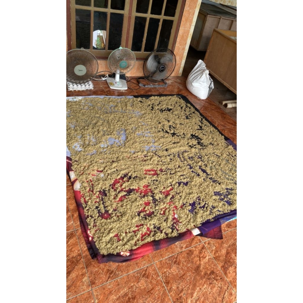 Telur jangkrik madu kunyit 100gram - 300gram [ kwalitas super kuning ]