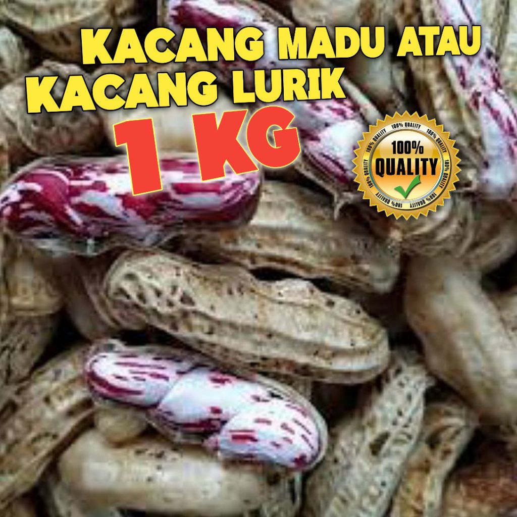 KACANG TANAH | KACANG LURIK | KACANG MADU | 1KG
