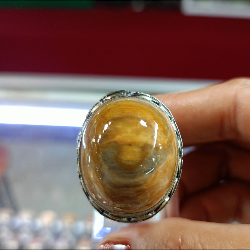 Cincin Fosil kelor (natural)