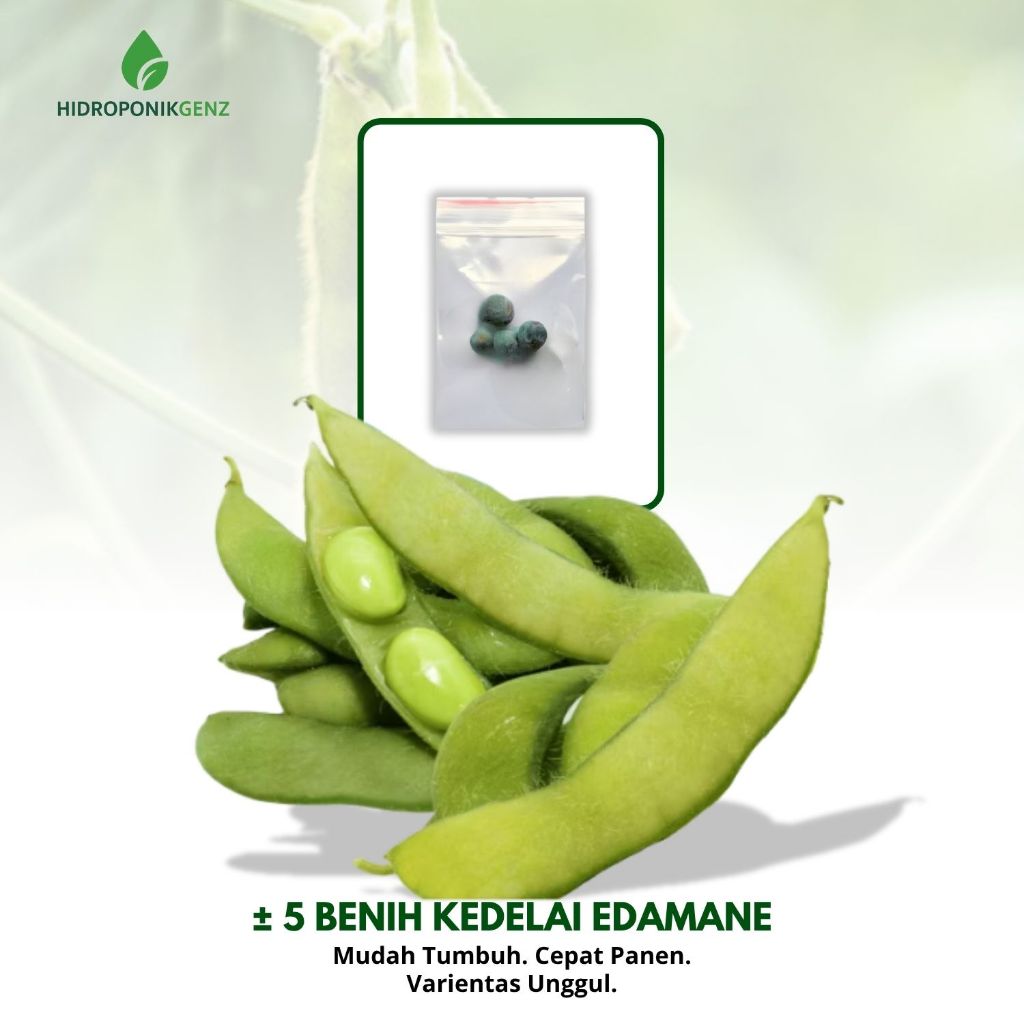 5 Benih Sayuran Kedelai Edamame Unggul