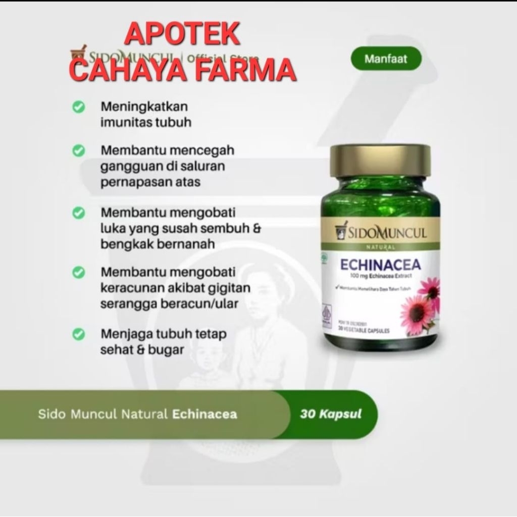 sidomuncul echinacea