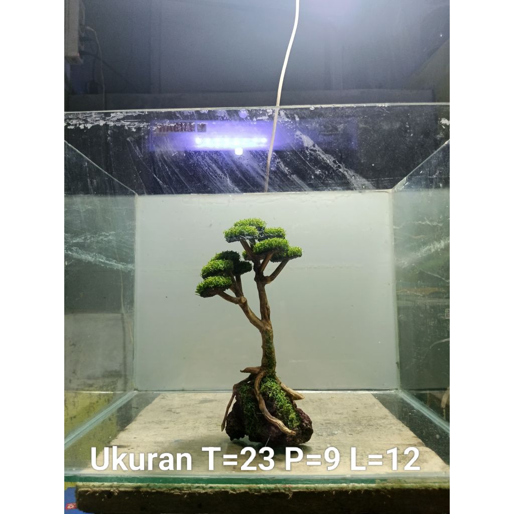 Bonsai Aquascape Daun Sintetis Mini Murah