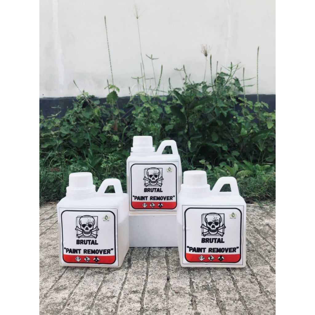 paint remover 1/2 kg