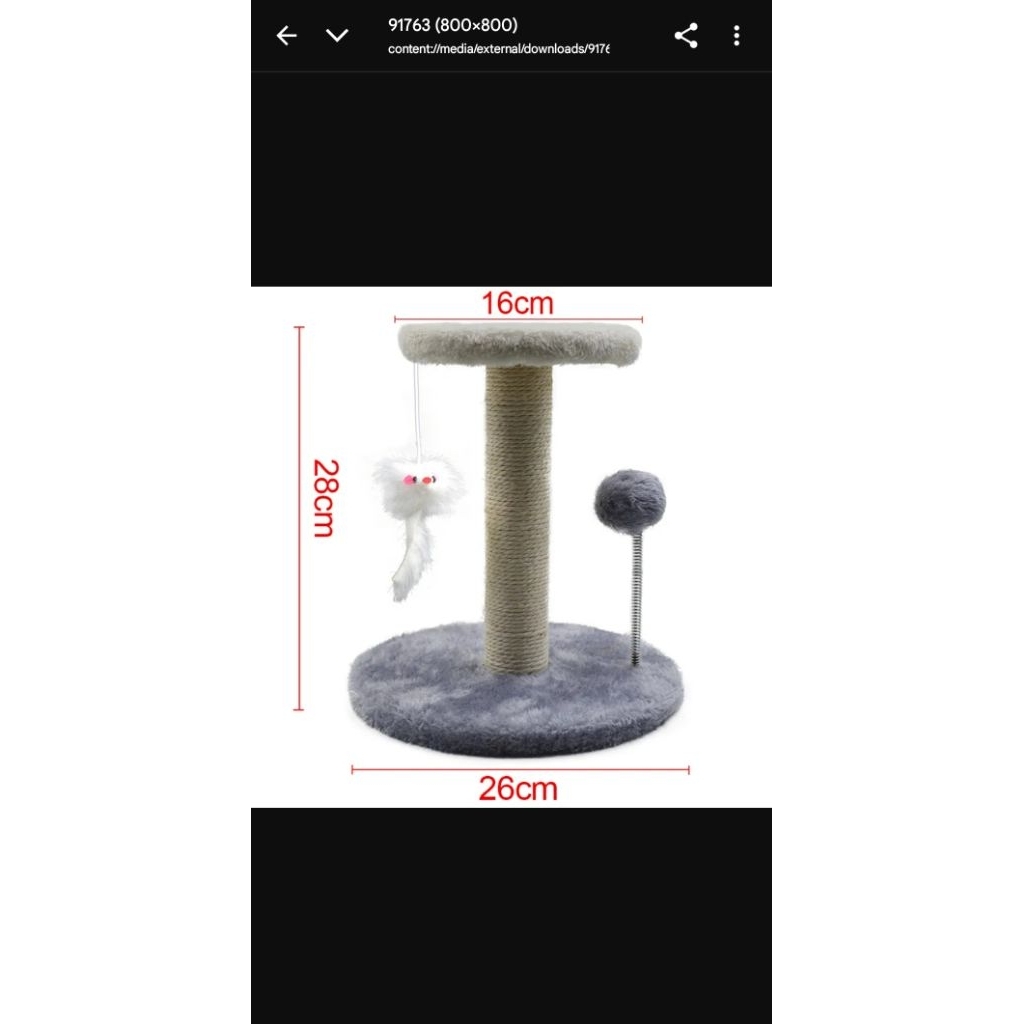 cakar cakaran kucing ( second )