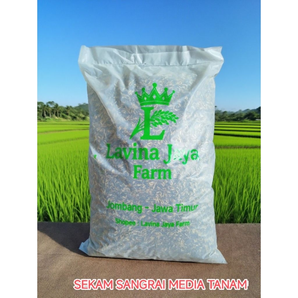 Sekam sangrai media tanam
