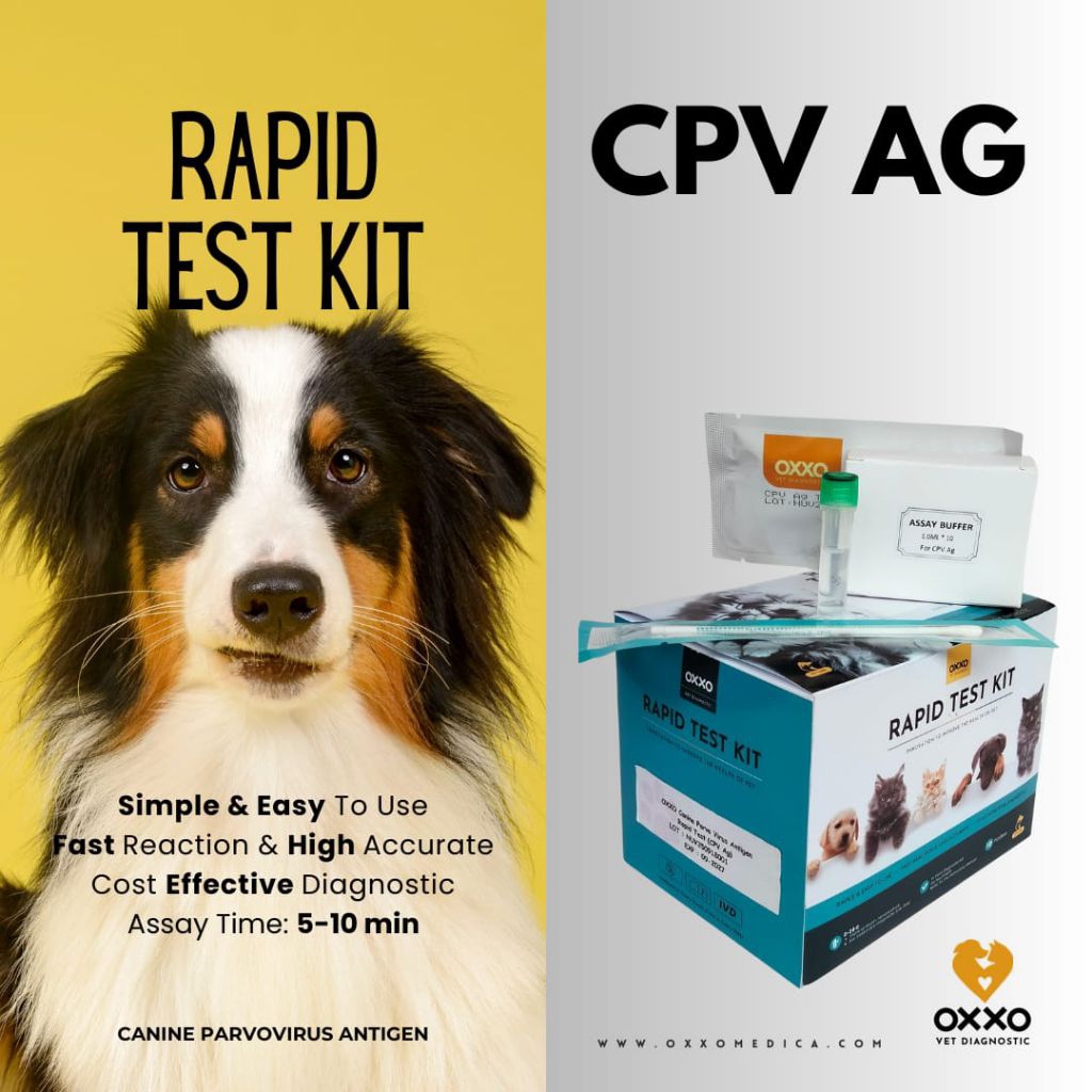 RapidTest CPV Ag/ Canine Parvovirus Antigen Rapid Test