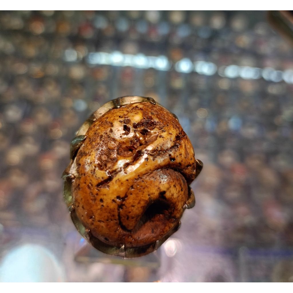 Cincin Fosil keong/ kool Buntet(natural)