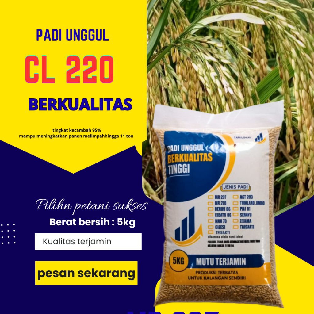 BENIH PADI UNGGUL CL 220 KEMASAN 5 KG