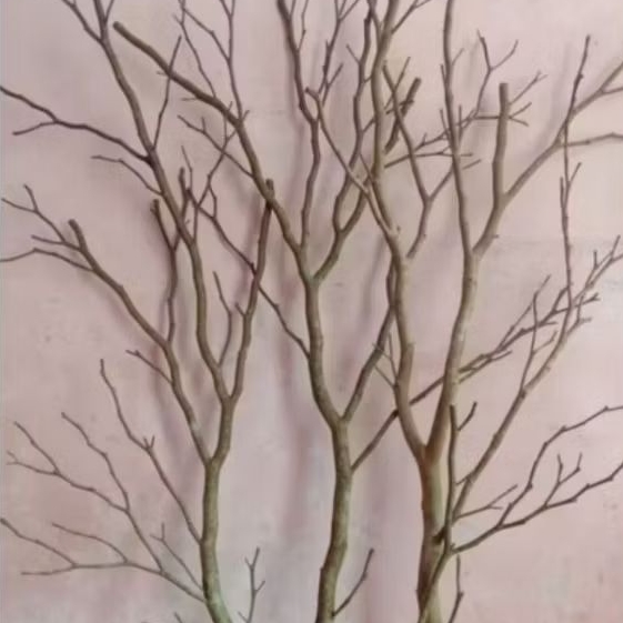 Ranting Kayu Dekorasi Bercabang Alami 120cm