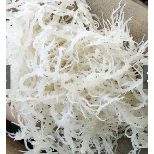 Rumput Laut Kering Putih 200gr Cottoni Original Premium