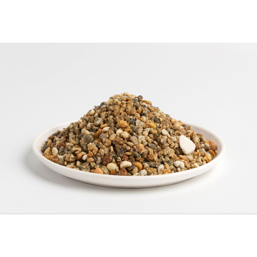 Pasir Pantai | Pasir Aquascape | Cangkang Kerang