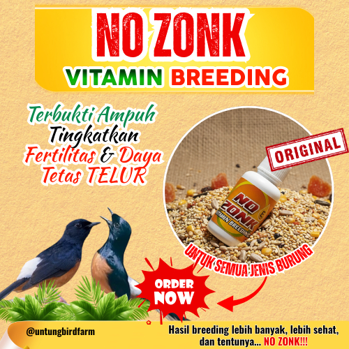 NO ZONK Vitamin Breeding Burung Murai Batu Vitamin Ternak Murai Batu Vitamin Telur Anti Zonk