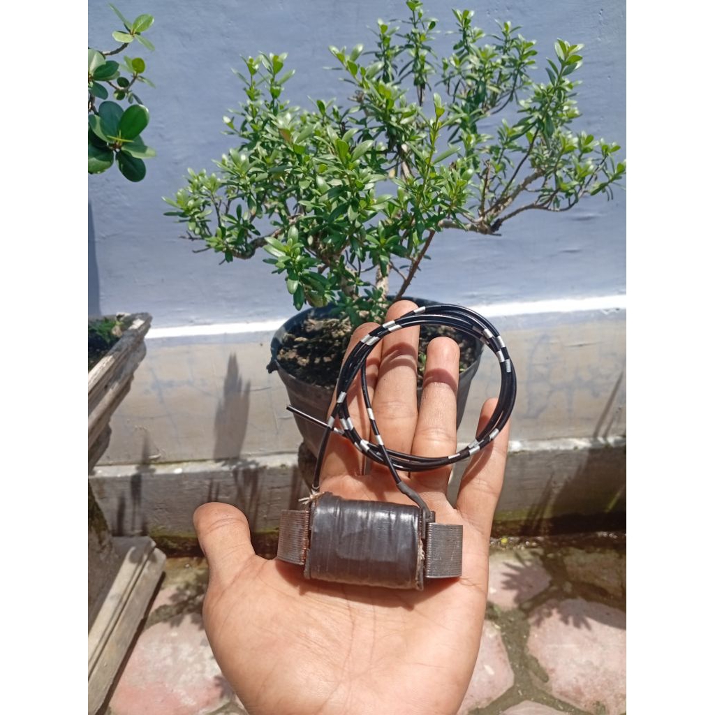 spul lampu spull lampu full wave honda prima star honda 800 12 volt