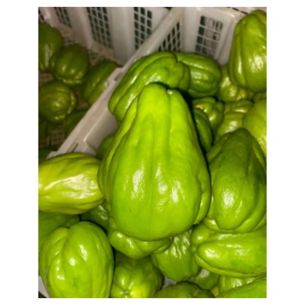 Labu siam/Labu Jepang per pcs