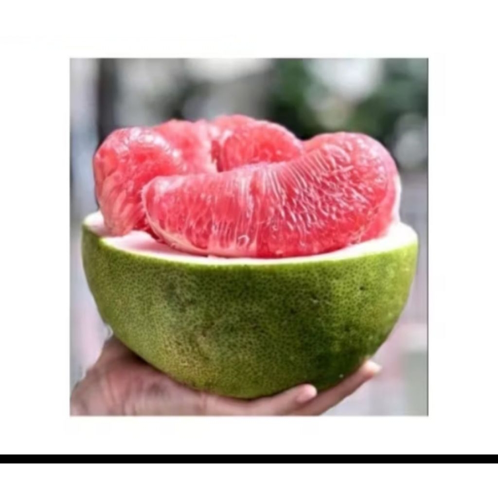 Jeruk Bali Pamelo Fresh 1 kg