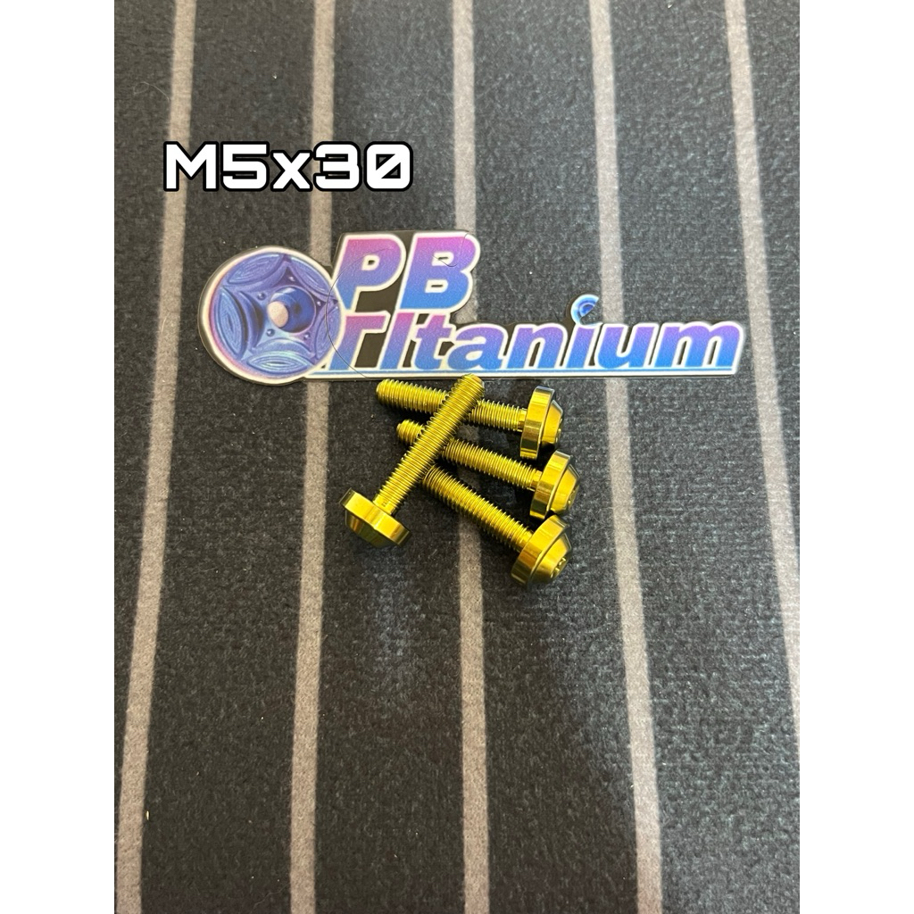 Baut Visor aerox nmax xmax Titanium