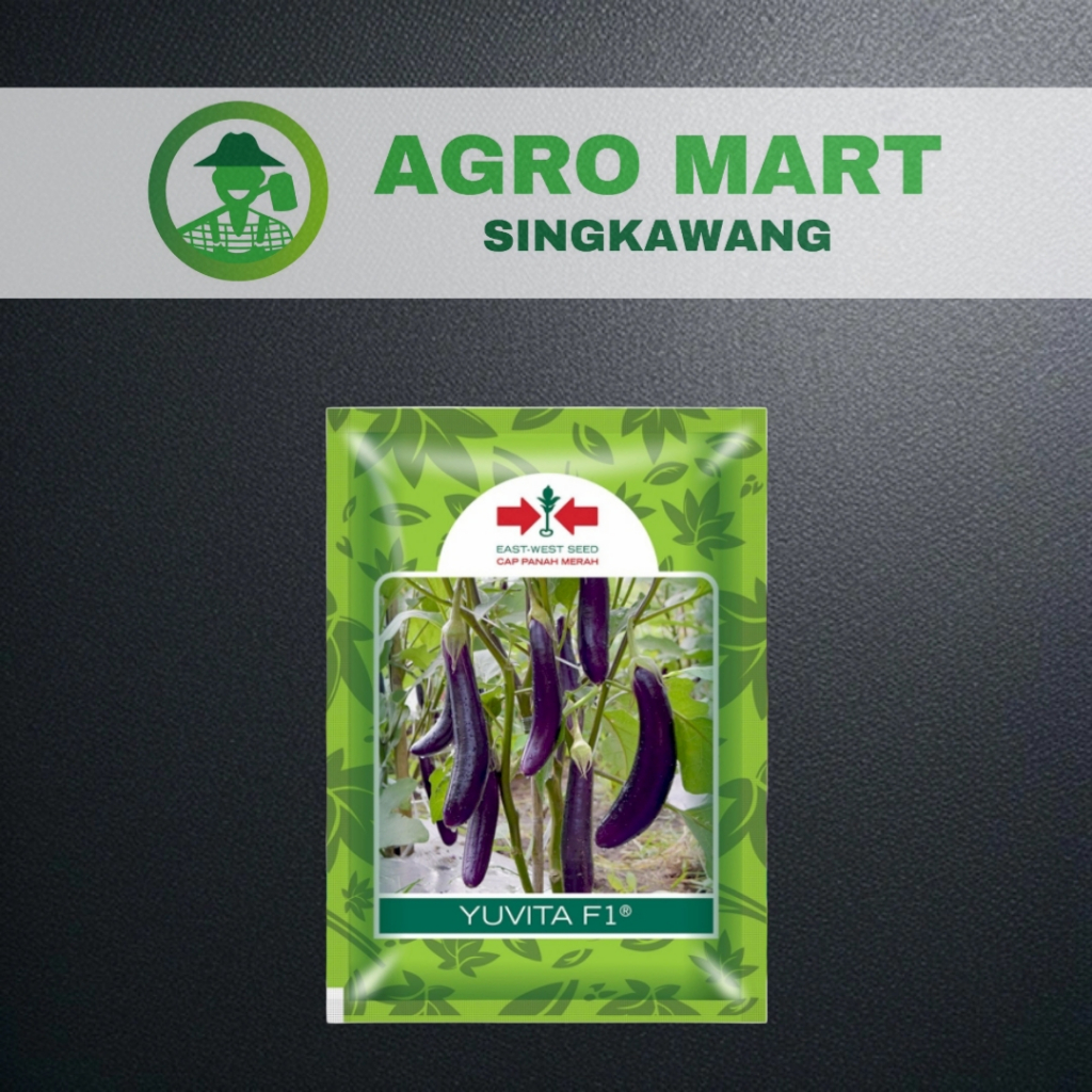 Benih terong ungu YUVITA F1 1100 butir terong ungu dari panah merah