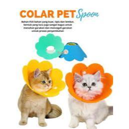 Collar Kucing Pelindung Kucing Sakit