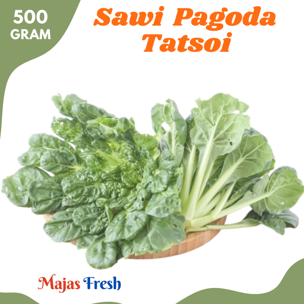 SAWI PAGODA Hijau Segar - Sayur Tatsoi Mustard Pagoda Fresh | 500gr [ Harga Per 0,5 Kg ]