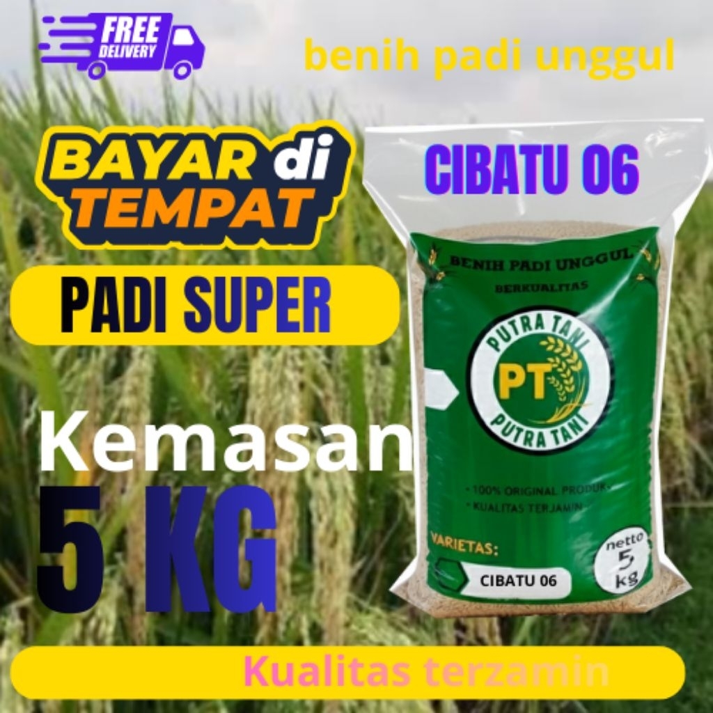 bibit padi/benih padi CIHERANG BATU(CIBATU) kualitas unggul(kemasan 5kg)