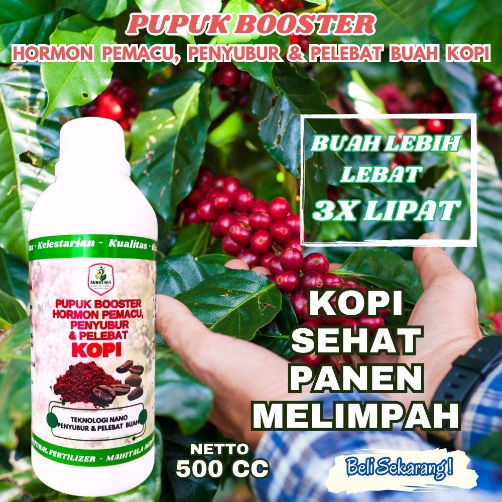 Pupuk Penyubur Pelebat Buah Kopi Pupuk Buah Super Lebat Pupuk Khusus Pelebat Buah Kopi Pupuk Kopi