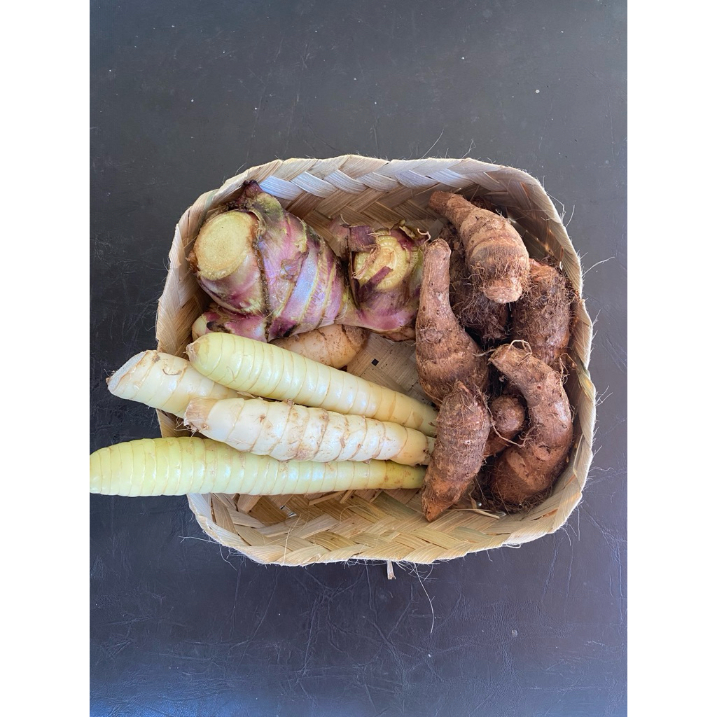 umbi garut kerut angkrik buat asam lambung