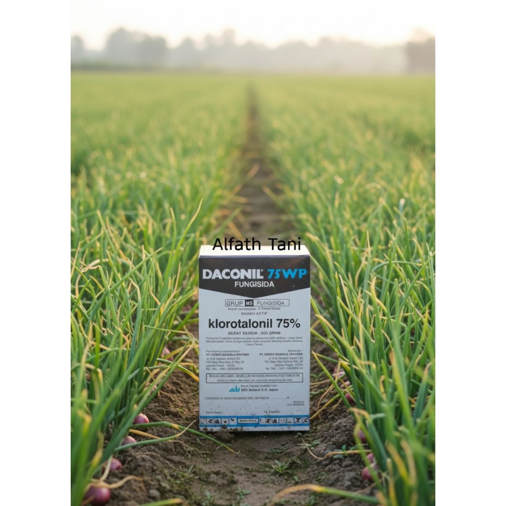 Daconil 75WP Fungisida