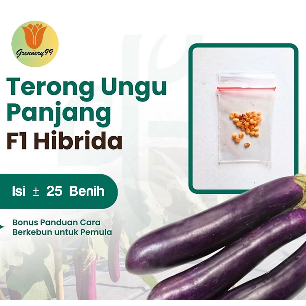 Benih Sayuran Terong Ungu Panjang F1 Hibrida
