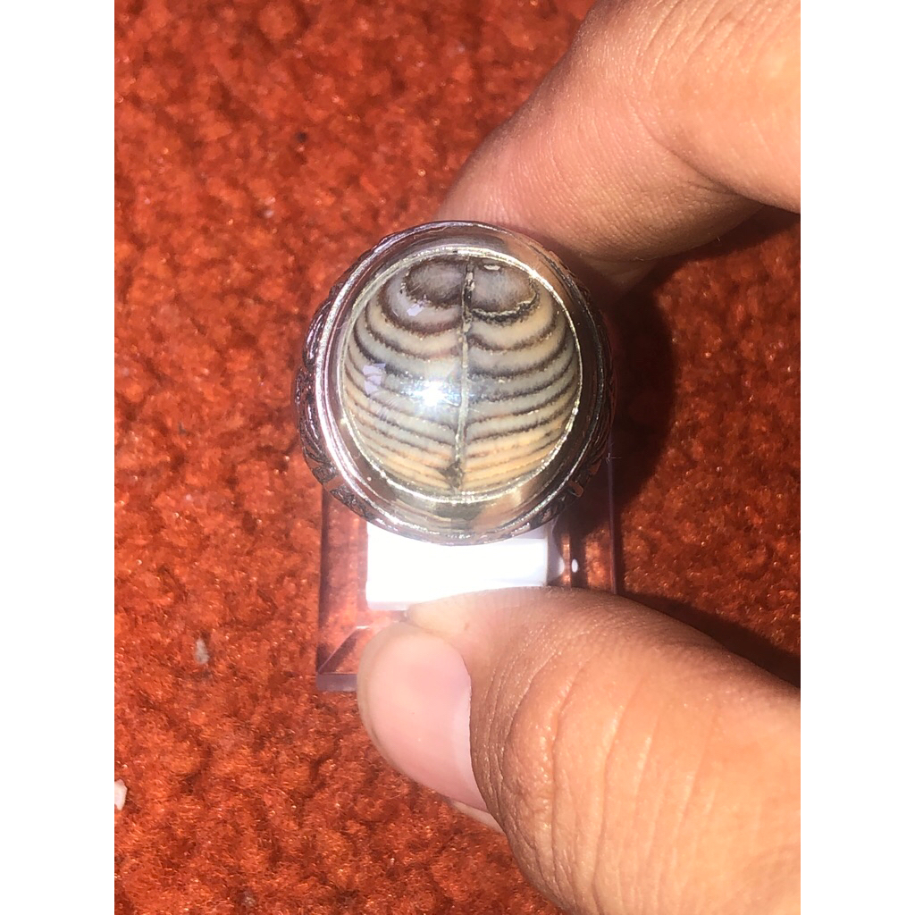 Batu jipen motif blarak sineret