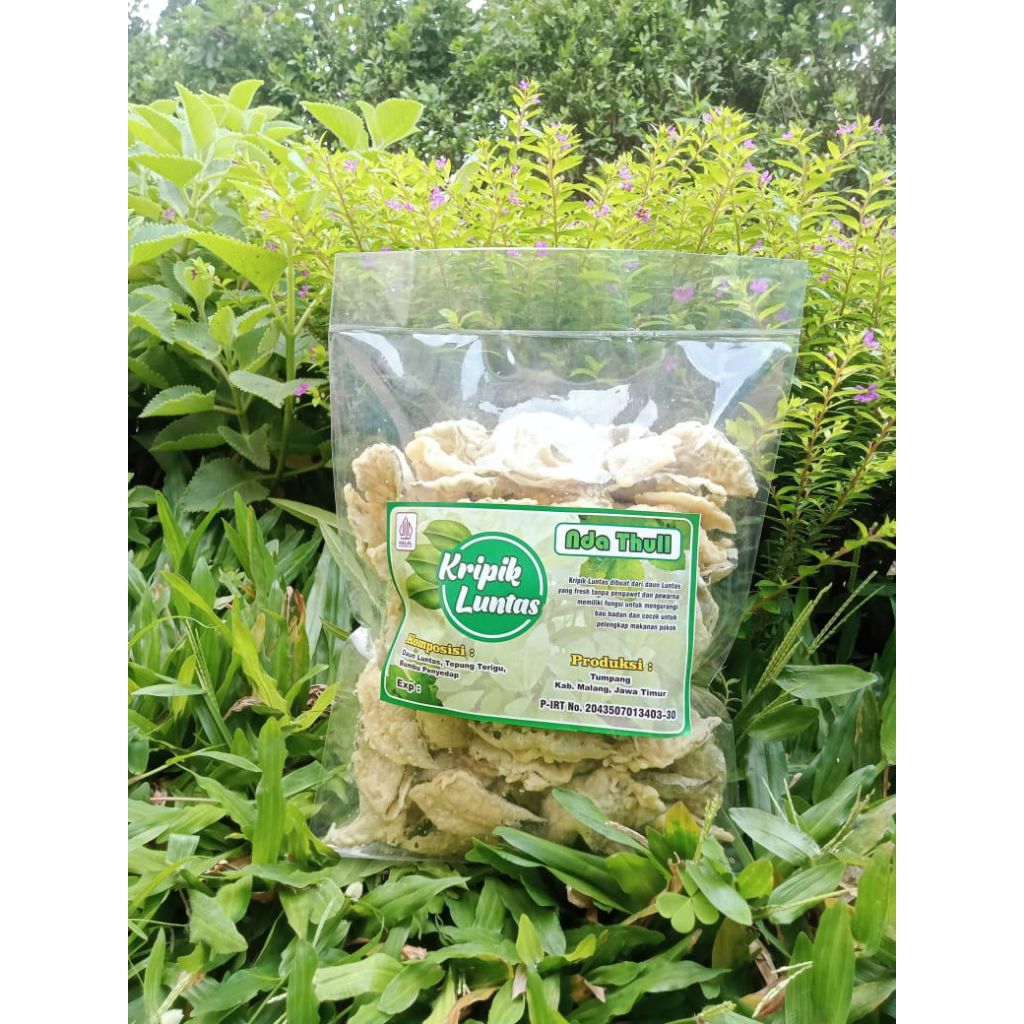 kripik daun luntas
