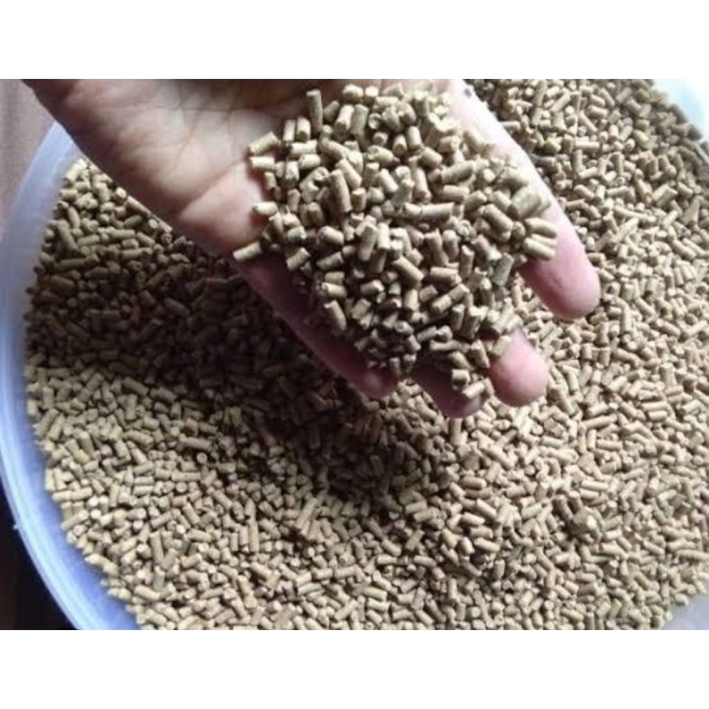 pakan udang pakan Sinta