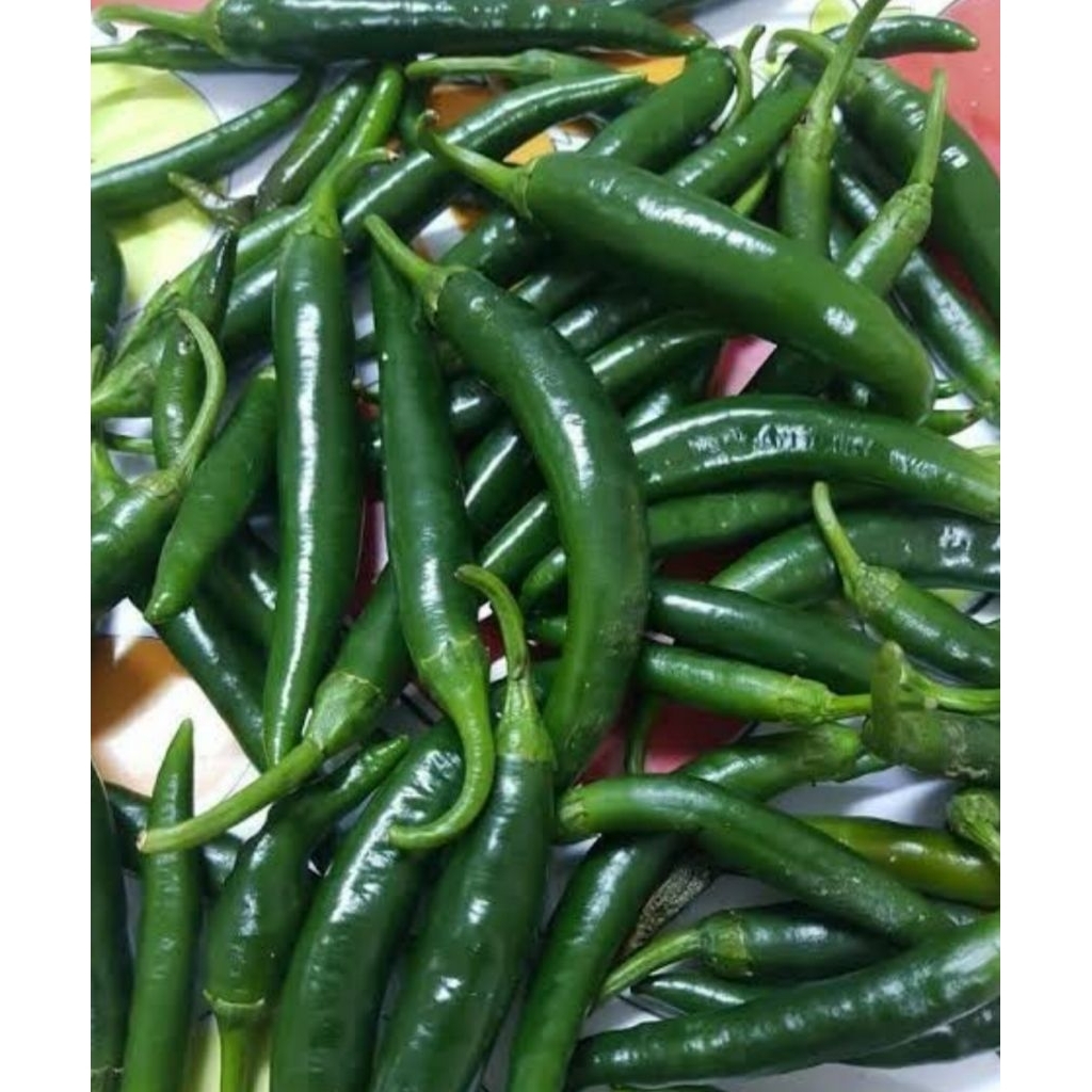 Cabe / Cabai / Lombok Hijau Besar