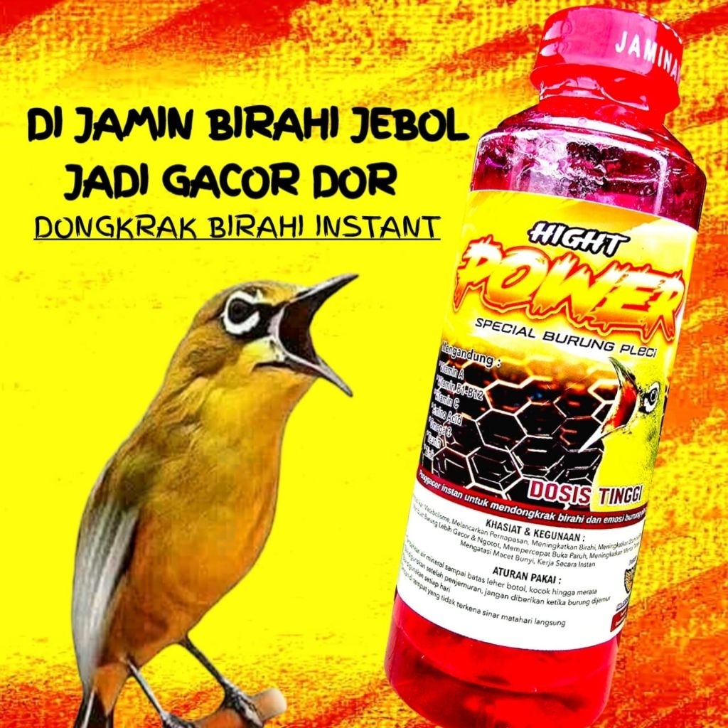 HIGH POWER PLECI DOSIS TINGGI ,DOPING VITAMIN SPESIAL KHUSUS BURUNG PLECI, DAN PEMAKAN NEKTAR