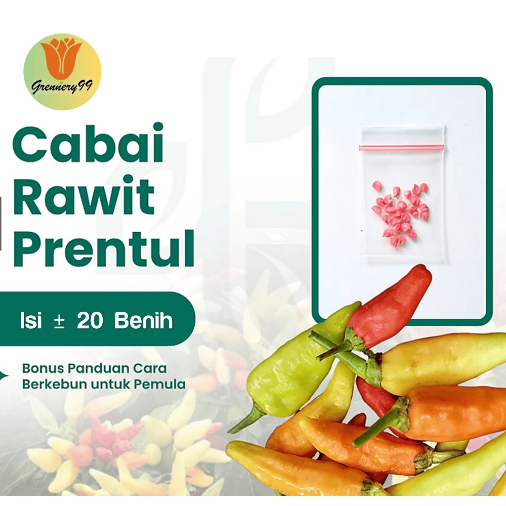 Benih Cabe Rawit Prentul Klaster Unggul
