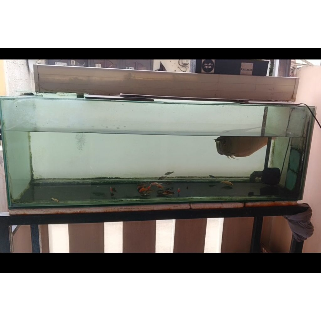 aquarium sekon full set