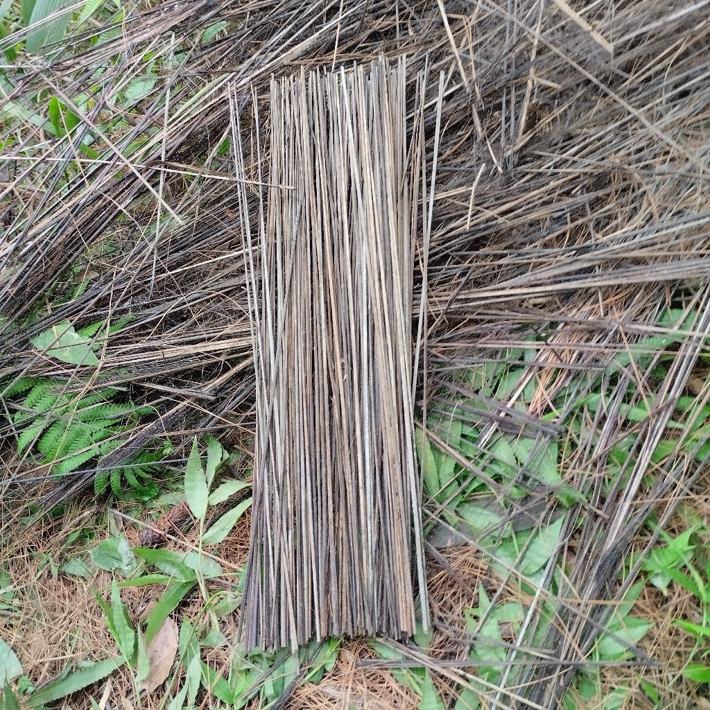 harupat ijuk kawung lidi aren hitam 30 batang panjang 50 cm
