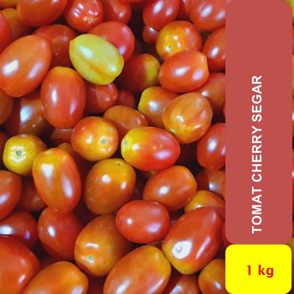 tomat cherry segar 1kg original