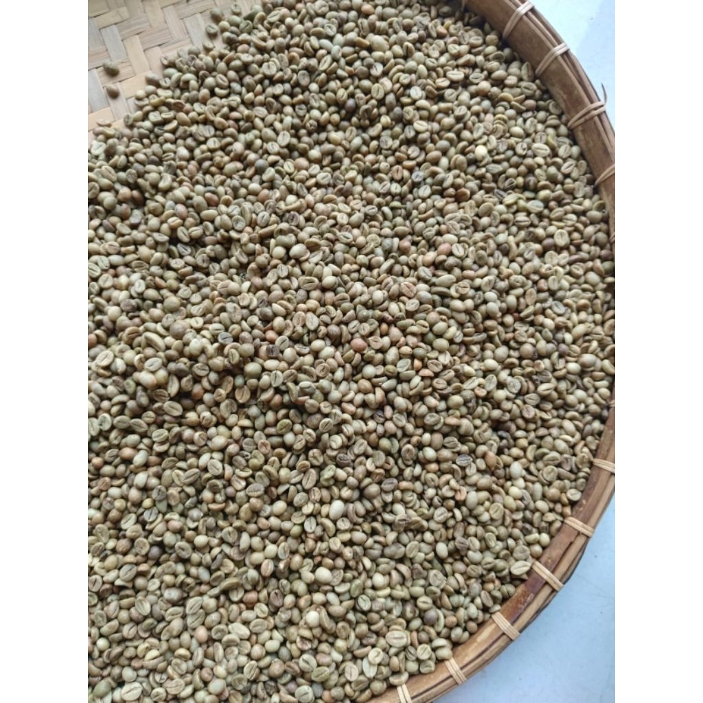 GREEN BEAN / KOPI MENTAH ROBUSTA GRADE 1