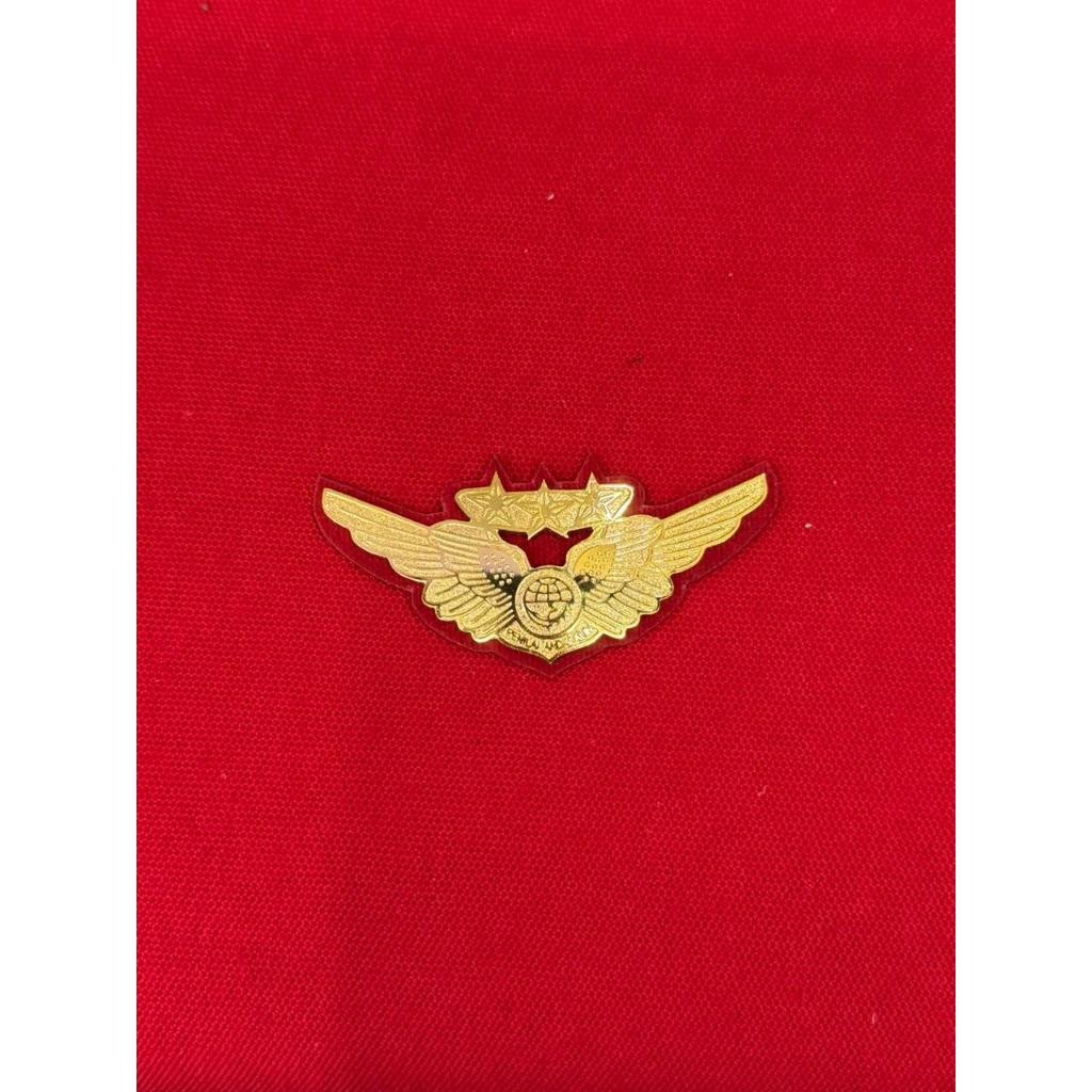 PIN WING ANDALIN | menjual atribut perlengkapan costum TNI,POLRI,DAMKAR,DISHUB,ASN,DLL