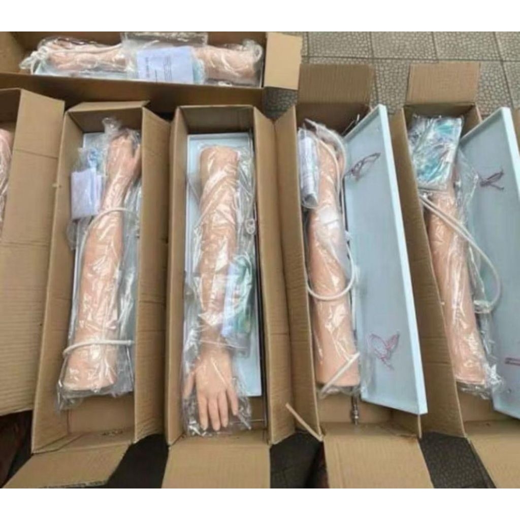 Manikin Lengan Infus GUAN LONG/ Manikin Phantom Alat Peraga GL8434A GUAN LONG