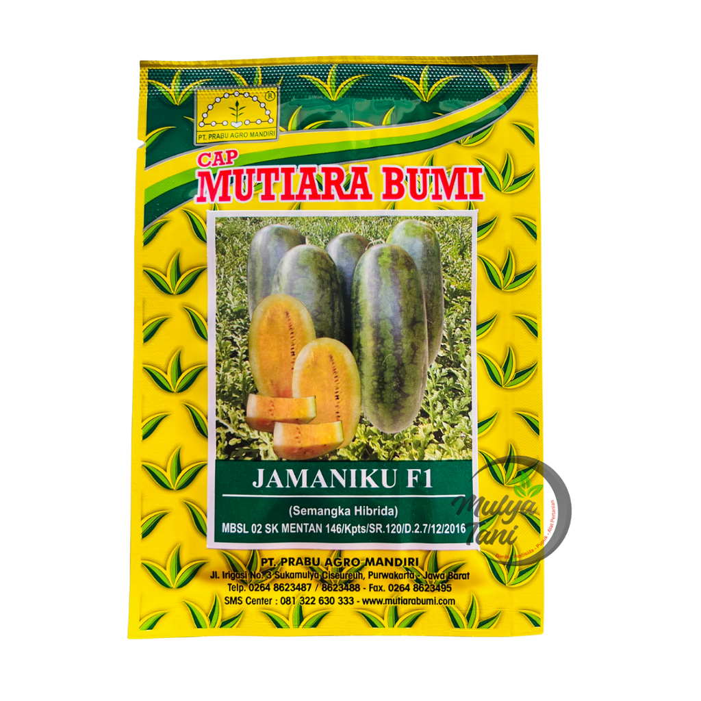Benih Semangka Jamaniku 20 Gram Tipe Inul Kuning Cap Mutiara Bumi