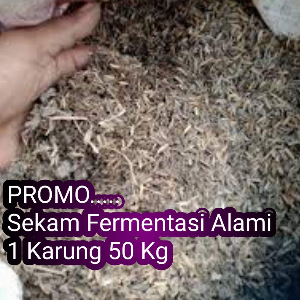 Sekam Fermentasi / Sekam Lapuk Media Tanam 1 Karung