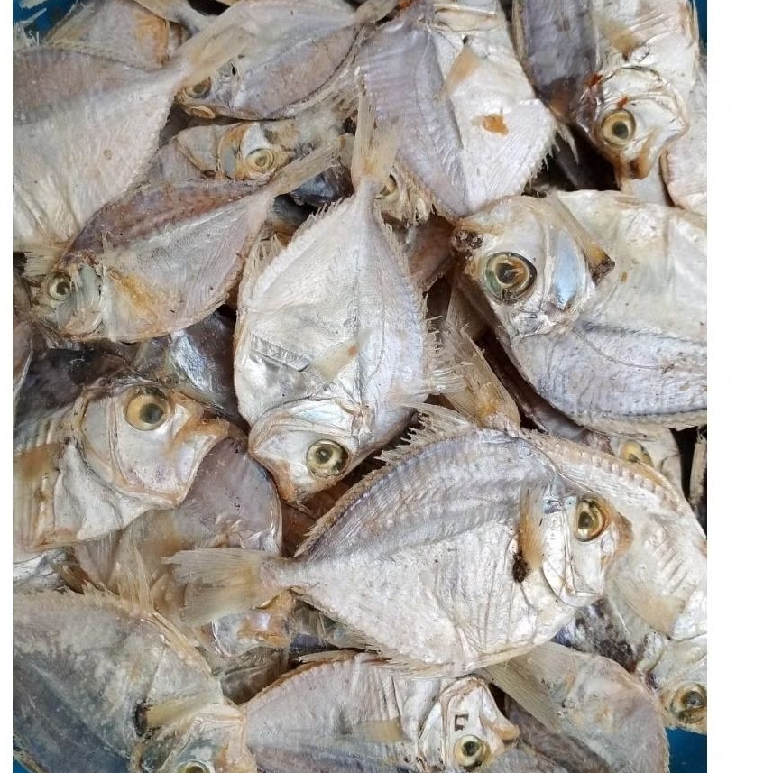 IKAN ASIN DODOK KERING